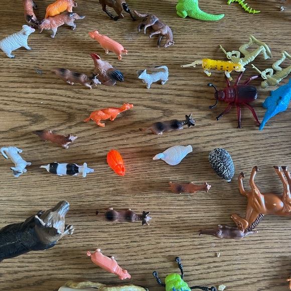 Toy - Picture 2 of 5